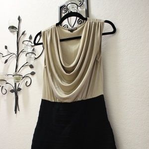 Express form fitting women's dress